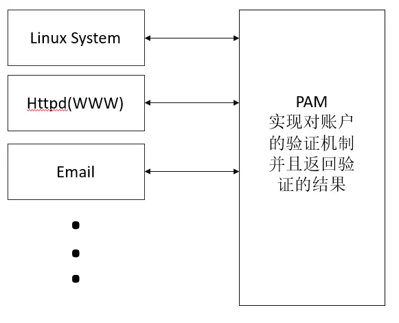 PAM验证结构